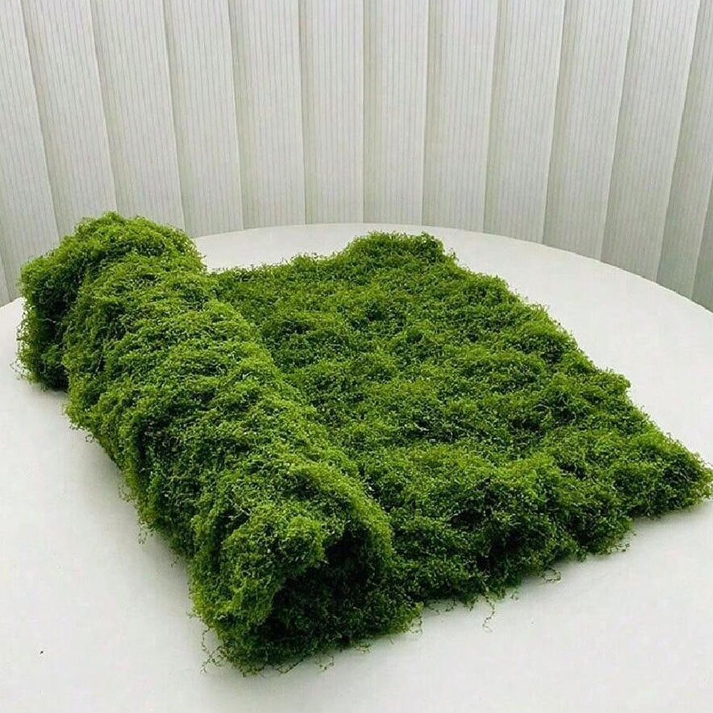 Preserved Moss Sheet - 1*1m Fake Moss DIY Crafts Grass