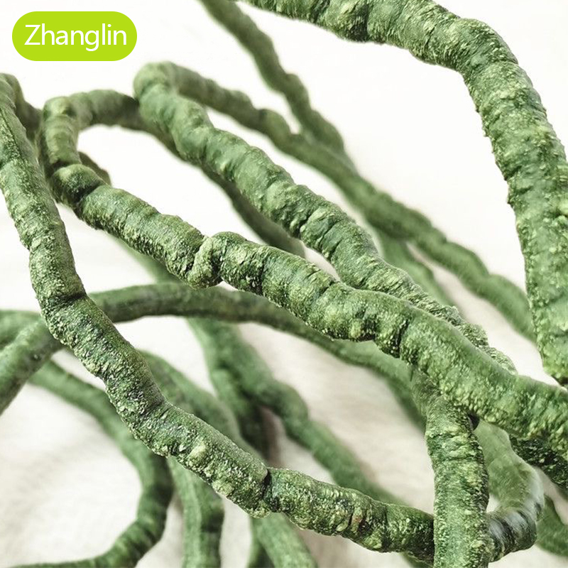 Artificial Plant Tree Vine 4m  - Preserved Moss Sheet ulasan dan harga