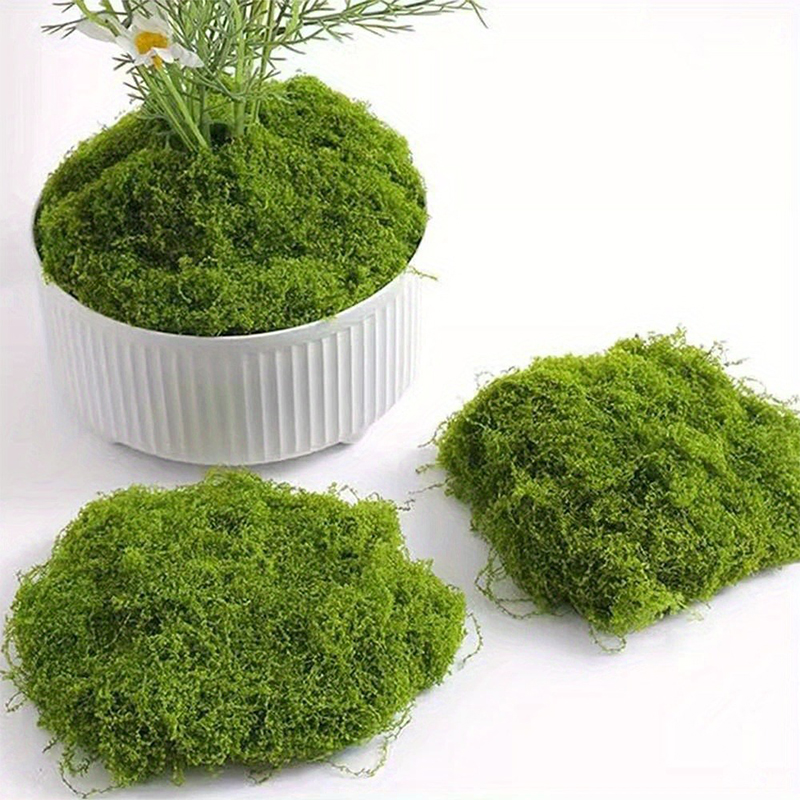 Green Fake Moss DIY Crafts Gra - Preserved Moss Sheet ulasan dan harga
