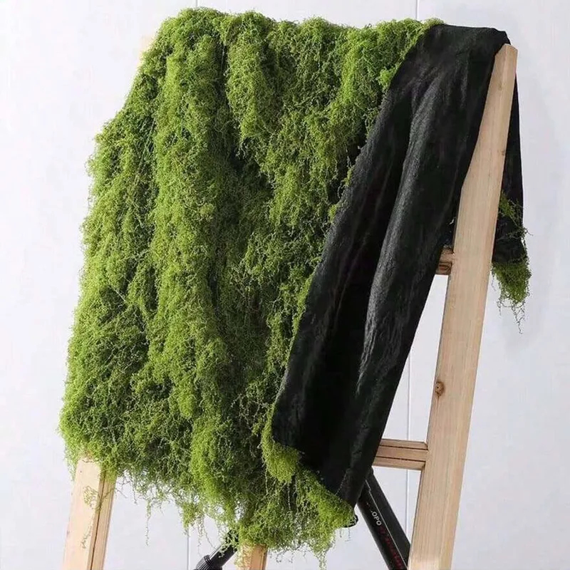 Artificial moss for micro-land - Preserved Moss Sheet ulasan dan harga